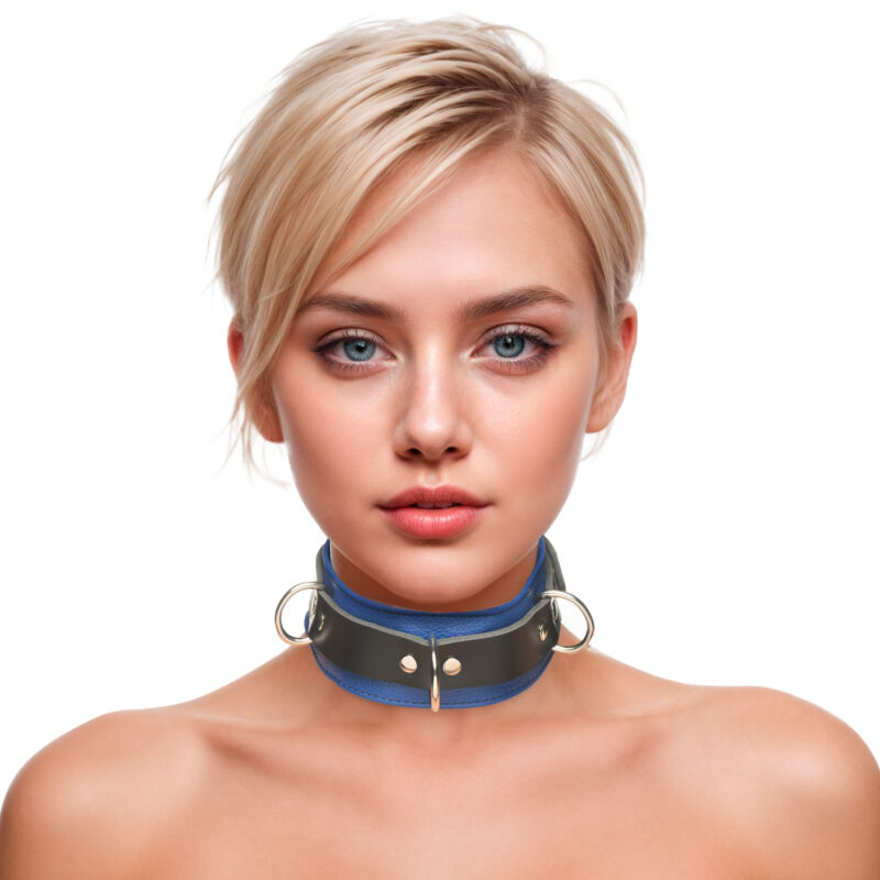 SL209_model_03-1
