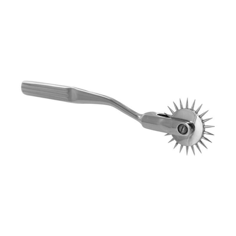 ns100-wartenburg-wheel-bulk_2